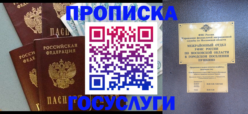 прописка гарантия в Красноярске